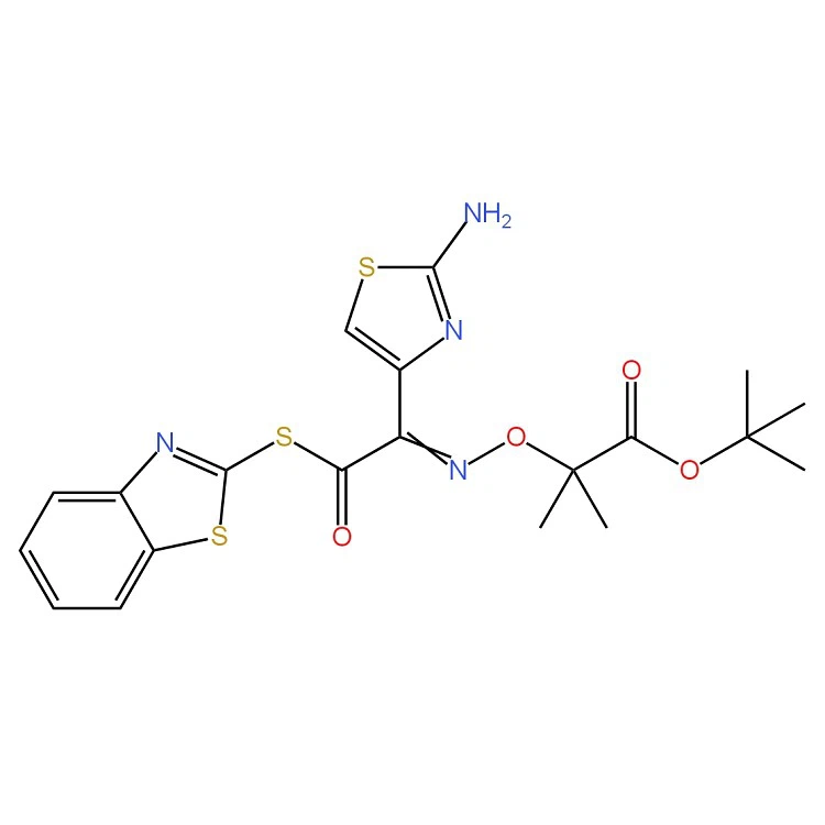 Ceftazidime Intermediate